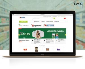 Ecommerce Website Development Company In India - Ewdc